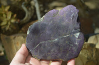 Polished One Side Polished Purpurite Free Forms x 3 From Erongo, Namibia - Toprock Gemstones and Minerals 