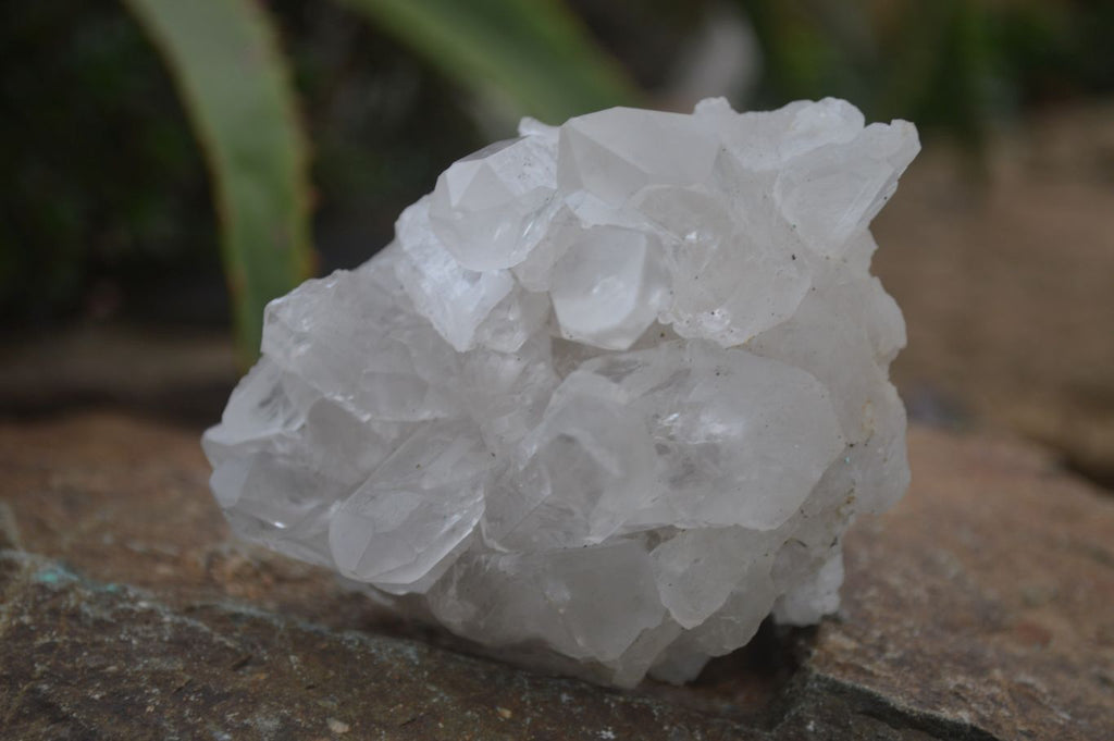 Natural Clear Quartz Specimens  x 6 From Mpika, Zambia - Toprock Gemstones and Minerals 
