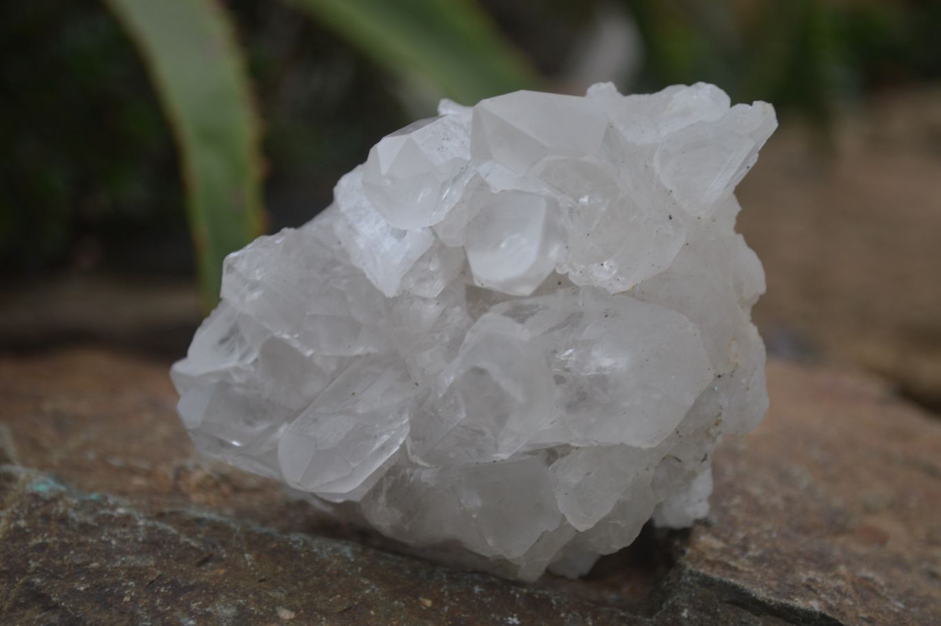 Natural Clear Quartz Specimens  x 6 From Mpika, Zambia - Toprock Gemstones and Minerals 
