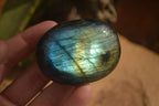 Polished  Flashy Labradorite Palm Stones  x 12 From Tulear, Madagascar - Toprock Gemstones and Minerals 