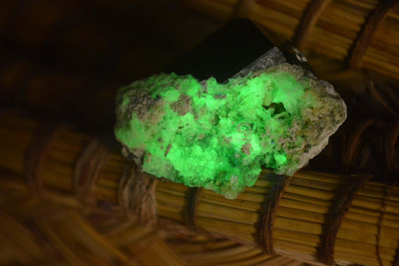 Natural Schorl Black Tourmaline Specimens x 13 From Erongo, Namibia - Toprock Gemstones and Minerals 