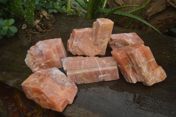 Natural New Sunset Orange Calcite Cubic Specimens  x 6 From Spitzkop, Namibia - Toprock Gemstones and Minerals 
