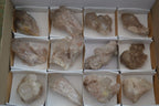 Natural White Phantom Smokey Quartz Crystal Specimens  x 12 From Luena, Congo - Toprock Gemstones and Minerals 