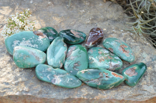 Polished XX Rare Green Chrome / Emerald Chrysoprase Free Forms   x 12 From Zimbabwe - TopRock