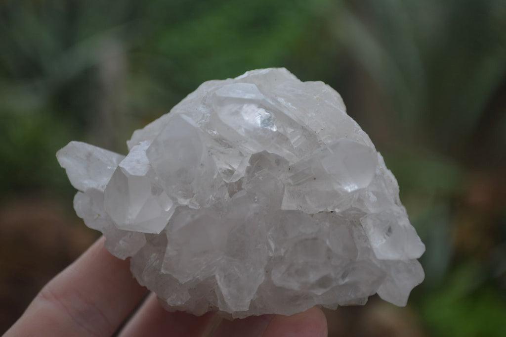 Natural Clear Quartz Specimens  x 6 From Mpika, Zambia - Toprock Gemstones and Minerals 