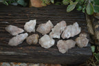 Natural White Phantom Smokey Quartz Crystal Specimens  x 12 From Luena, Congo - Toprock Gemstones and Minerals 
