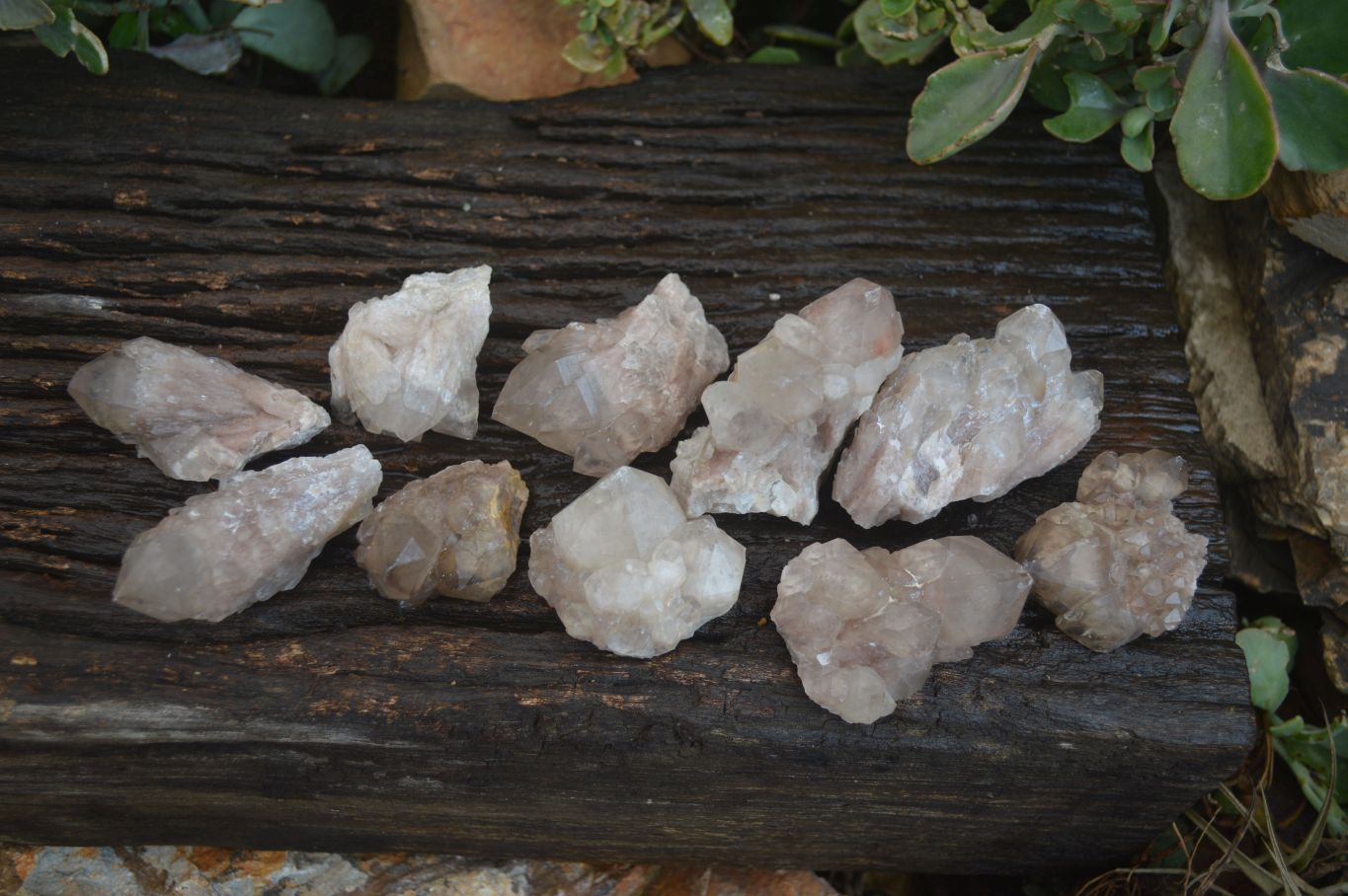 Natural White Phantom Smokey Quartz Crystal Specimens  x 12 From Luena, Congo - Toprock Gemstones and Minerals 