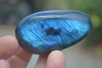 Polished Flashy Labradorite Palm Stones  x 12 From Tulear, Madagascar - Toprock Gemstones and Minerals 