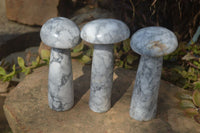Polished Large Howlite Mushrooms  x 3 From Zimbabwe - Toprock Gemstones and Minerals 