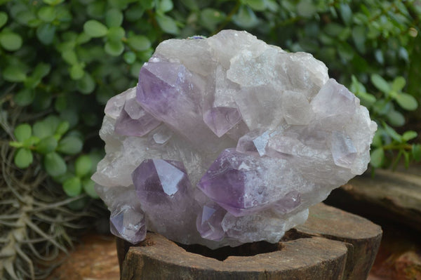 Natural Jacaranda Amethyst Clusters  x 2 From Zambia - Toprock Gemstones and Minerals 