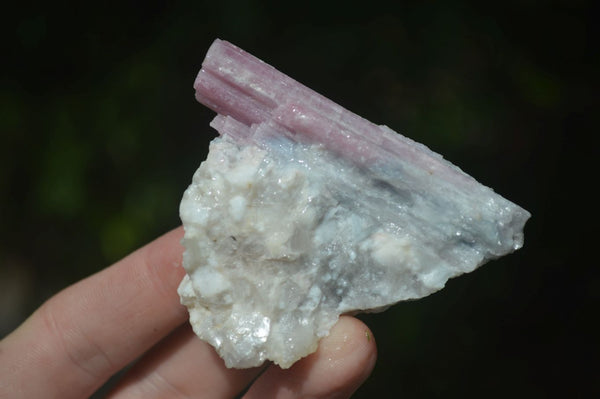 Natural Rubellite Pink Tourmaline Crystal Specimens  x 1 Kg Lot From Karibib, Namibia - Toprock Gemstones and Minerals 
