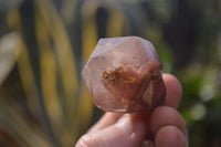 Natural Red Hematoid Quartz Crystals x 35 From Karoi, Zimbabwe - Toprock Gemstones and Minerals 