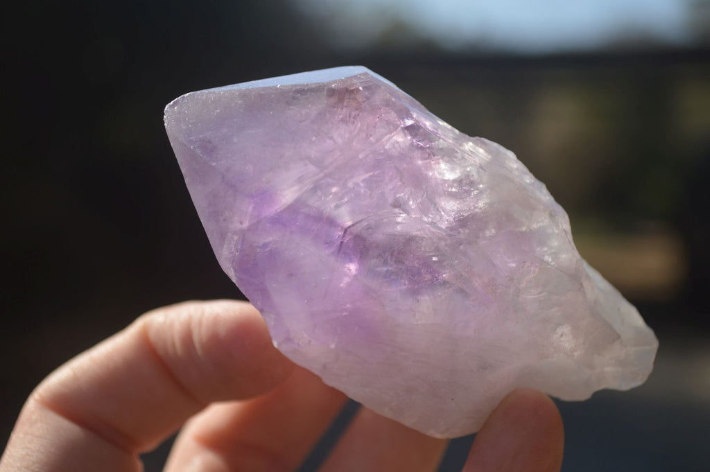 Natural Single Jacaranda Amethyst Crystals x 12 From Mumbwe, Zambia - Toprock Gemstones and Minerals 