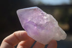 Natural Single Jacaranda Amethyst Crystals x 12 From Mumbwe, Zambia - Toprock Gemstones and Minerals 