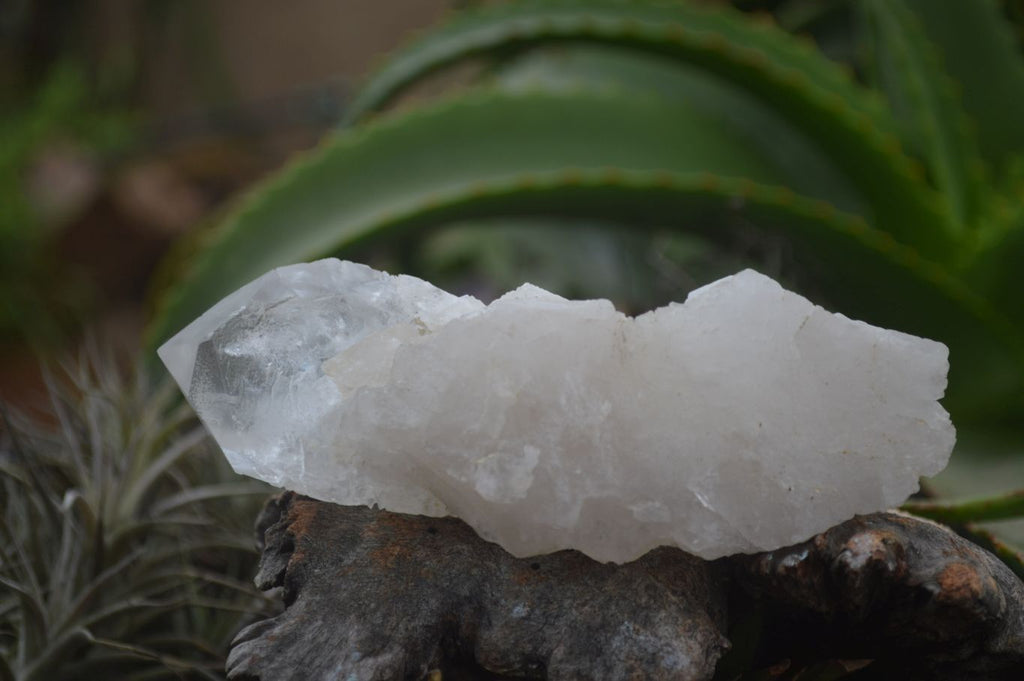 Natural Clear Quartz Specimens  x 6 From Mpika, Zambia - Toprock Gemstones and Minerals 