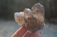 Natural Smokey Quartz Crystals x 6 From Zomba, Malawi - Toprock Gemstones and Minerals 