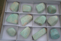 Polished Kobi Amazonite Free Forms  x 12 From Zimbabwe - TopRock