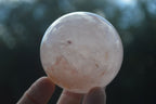 Polished Gemmy Pink Rose Quartz Spheres  x 6 From Madagascar - Toprock Gemstones and Minerals 