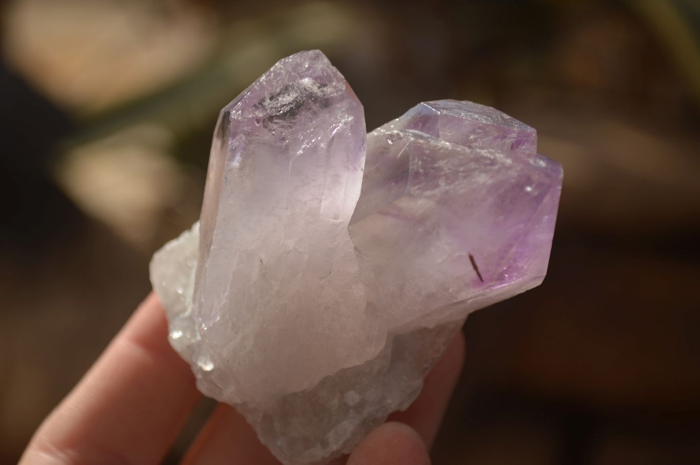 Natural Single Jacaranda Amethyst Crystals x 12 From Mumbwe, Zambia - Toprock Gemstones and Minerals 