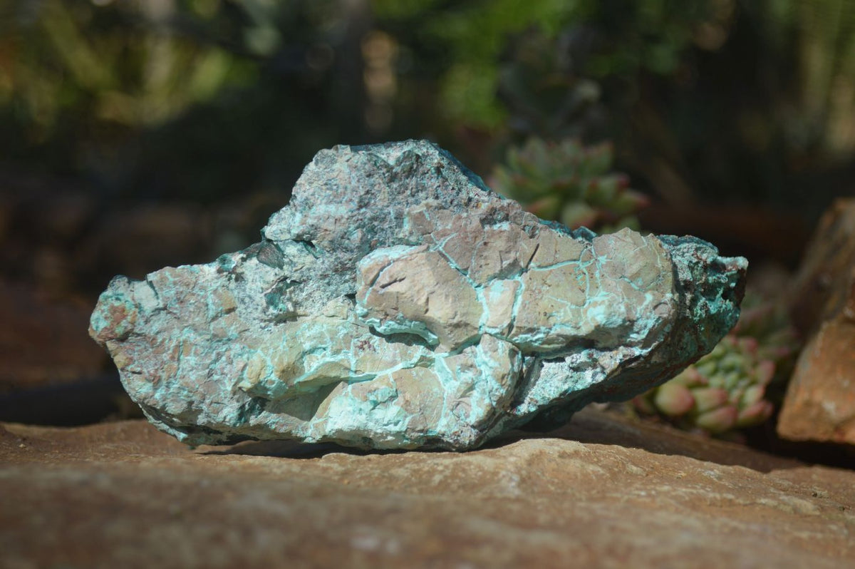Natural Rough Shattuckite Cobbed Specimens x 6 From Kaokoveld, Namibia - Toprock Gemstones and Minerals 