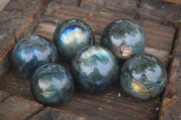 Polished Flashy Blue & Gold Labradorite Spheres  x 6 From Tulear, Madagascar - Toprock Gemstones and Minerals 