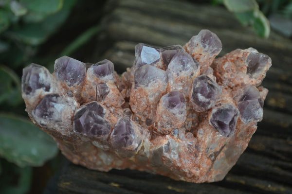 Natural Sugar Amethyst Clusters  x 4 From Zambia - Toprock Gemstones and Minerals 
