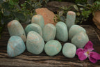 Polished Kobi Amazonite Free Forms  x 12 From Zimbabwe - TopRock
