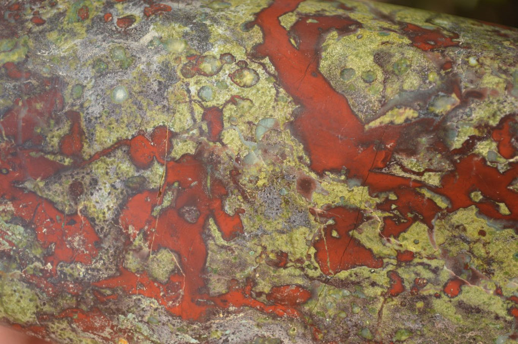 Polished  Dragon Bloodstone Standing Free Form  x 1 From Southern Africa - Toprock Gemstones and Minerals 