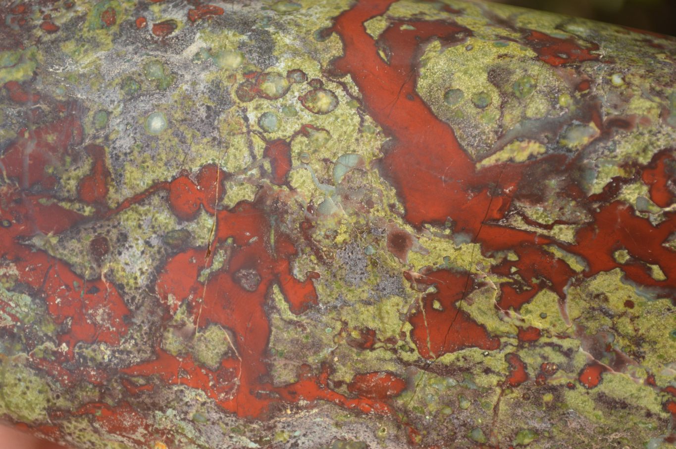 Polished  Dragon Bloodstone Standing Free Form  x 1 From Southern Africa - Toprock Gemstones and Minerals 