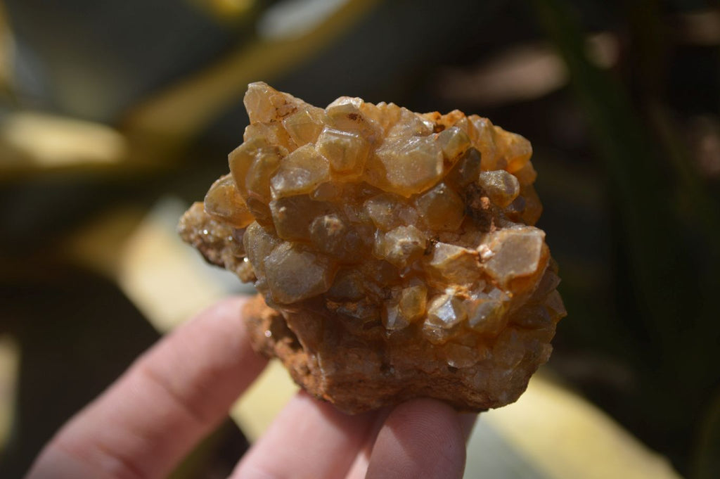 Natural Limonite Quartz Clusters x 24 From Solwezi, Zambia - Toprock Gemstones and Minerals 