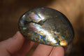Polished  Flashy Labradorite Palm Stones  x 12 From Tulear, Madagascar - Toprock Gemstones and Minerals 