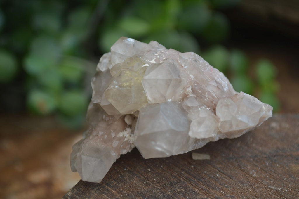 Natural White Phantom Smokey Quartz Crystal Specimens  x 12 From Luena, Congo - Toprock Gemstones and Minerals 