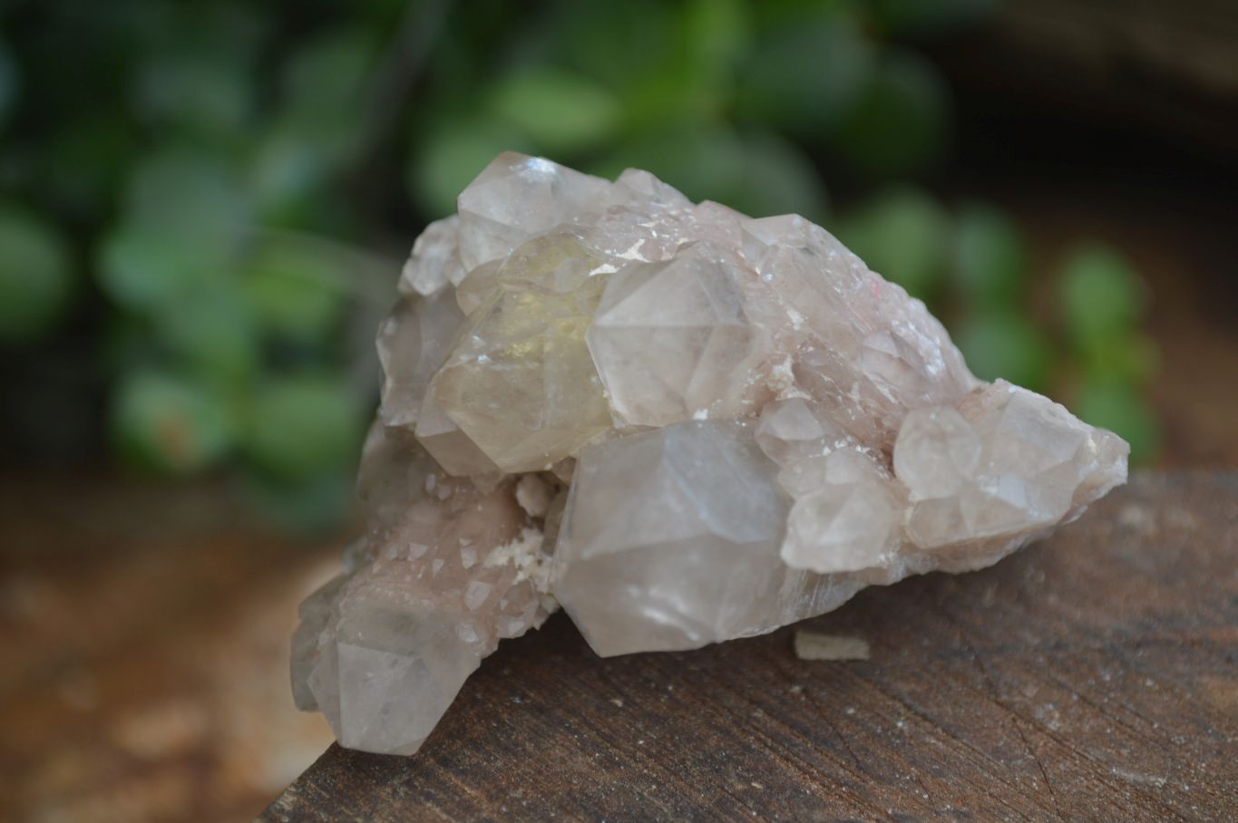 Natural White Phantom Smokey Quartz Crystal Specimens  x 12 From Luena, Congo - Toprock Gemstones and Minerals 