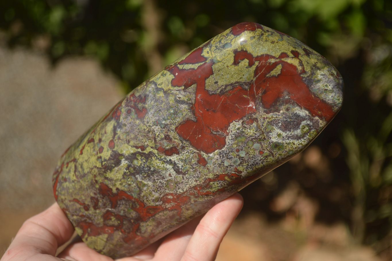 Polished  Dragon Bloodstone Standing Free Form  x 1 From Southern Africa - Toprock Gemstones and Minerals 