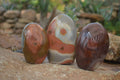 Polished Polychrome Jasper Standing Free Forms  x 3 From Mahajanga, Madagascar - Toprock Gemstones and Minerals 