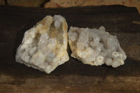 Natural Spirit Quartz Clusters x 2 From Boekenhouthoek, South Africa - Toprock Gemstones and Minerals 