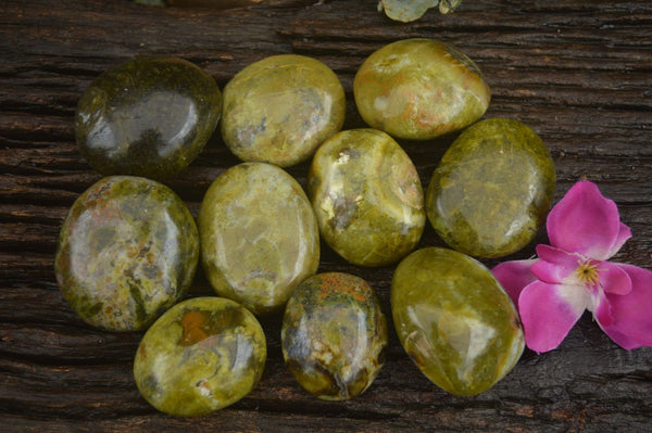Polished Green Opal Palm Stones  x 6 From Madagascar - TopRock