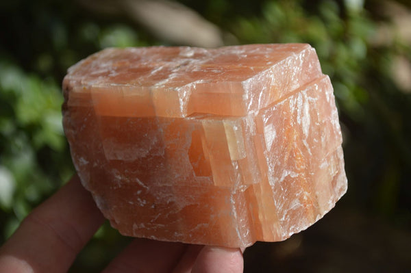 Natural New Sunset Orange Calcite Specimens  x 5 From Spitzkop, Namibia - Toprock Gemstones and Minerals 