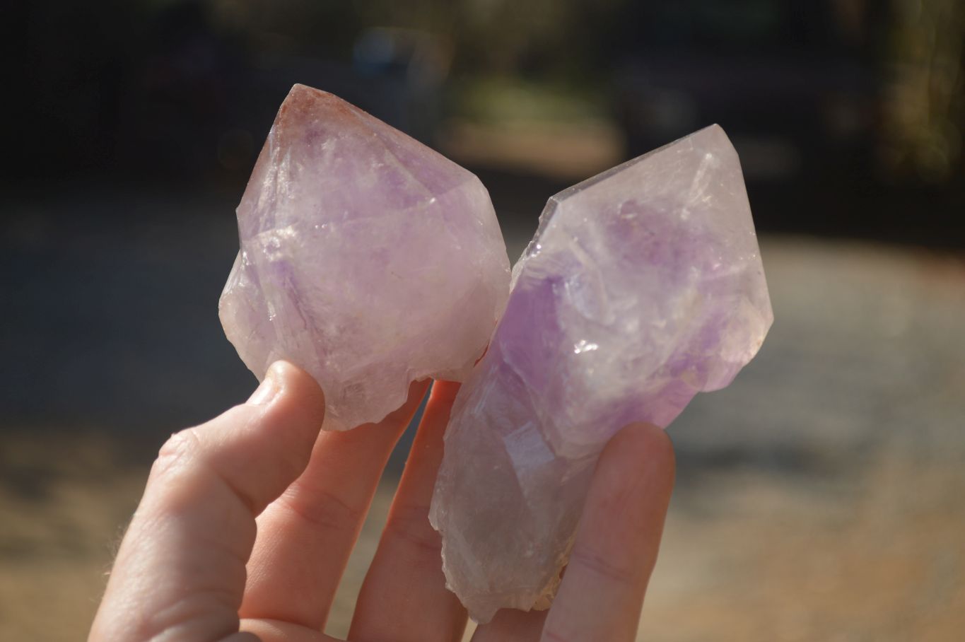 Natural Single Jacaranda Amethyst Crystals x 12 From Mumbwe, Zambia - Toprock Gemstones and Minerals 