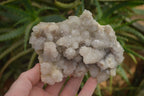 Natural Spirit Quartz Clusters x 2 From Boekenhouthoek, South Africa - Toprock Gemstones and Minerals 