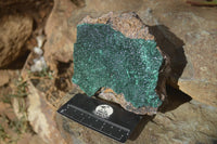 Natural Crystalline Malachite Specimens  x 2 From Congo - Toprock Gemstones and Minerals 