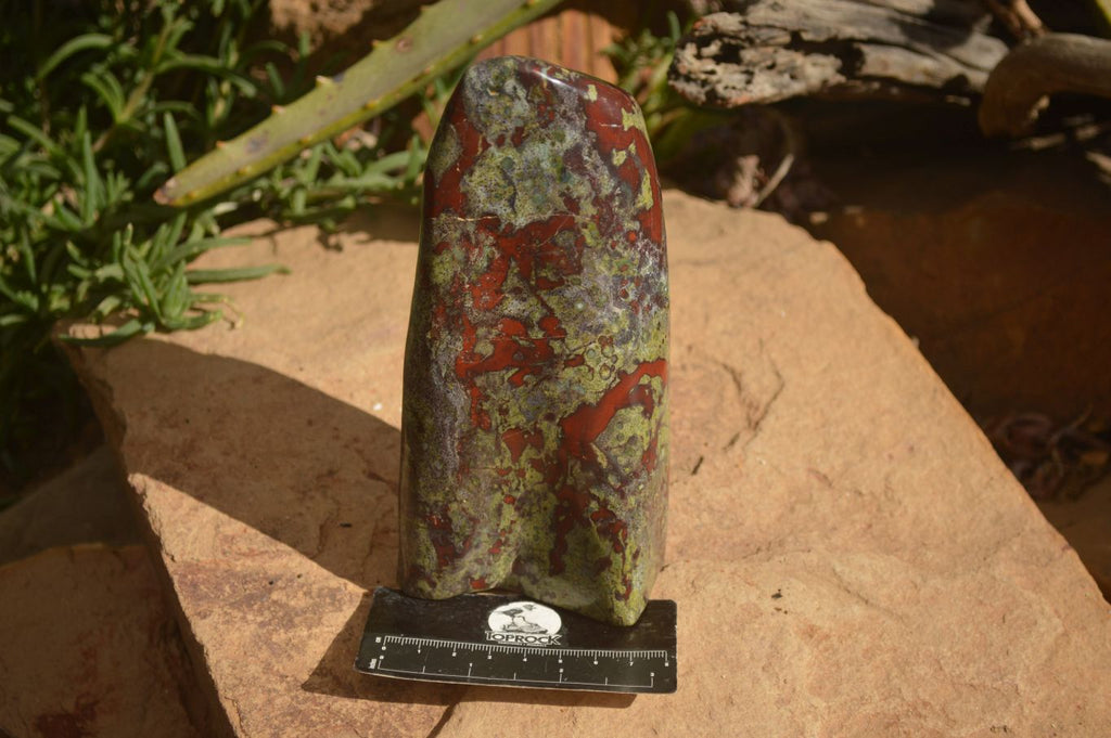 Polished  Dragon Bloodstone Standing Free Form  x 1 From Southern Africa - Toprock Gemstones and Minerals 