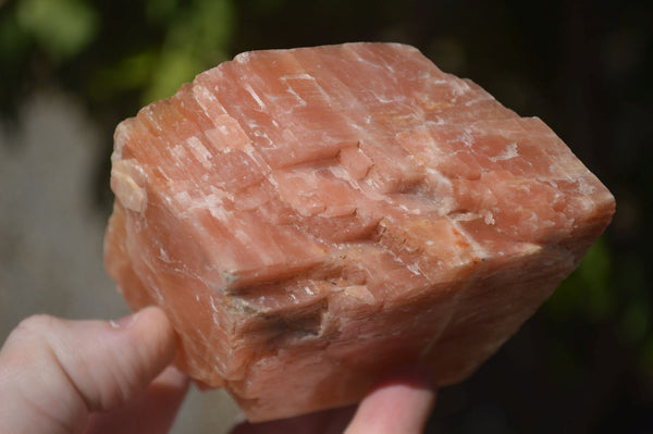 Natural New Sunset Orange Calcite Cubic Specimens  x 3 From Namibia - Toprock Gemstones and Minerals 