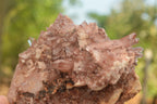 Natural Red Hematoid Quartz Specimens  x 2 From Zambia - TopRock