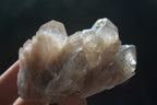 Natural White Phantom Smokey Quartz Crystal Specimens  x 12 From Luena, Congo - Toprock Gemstones and Minerals 