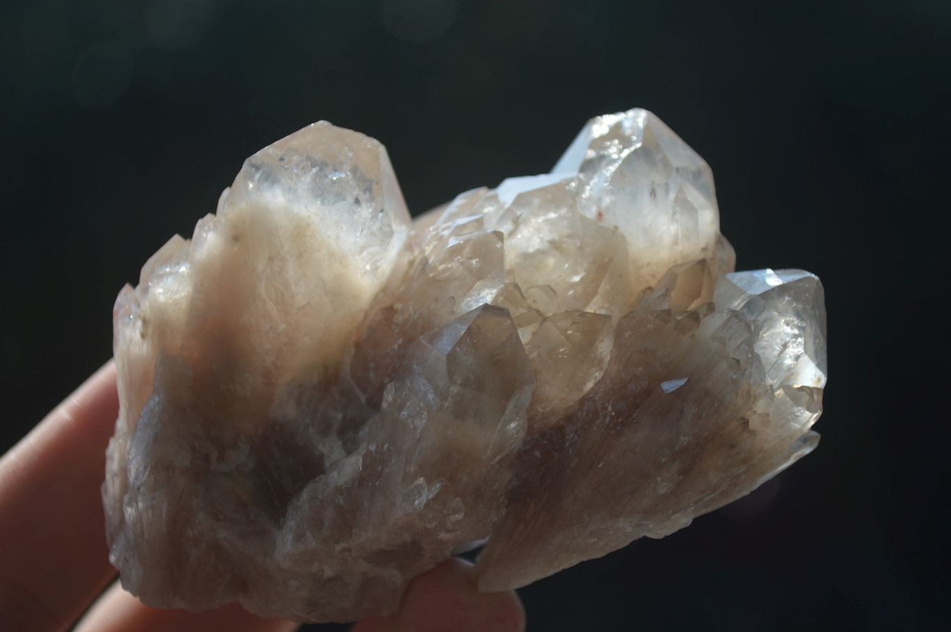Natural White Phantom Smokey Quartz Crystal Specimens  x 12 From Luena, Congo - Toprock Gemstones and Minerals 