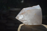 Polished Large Clear Quartz Crystal x 1 From Madagascar - Toprock Gemstones and Minerals 