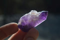 Natural Skeletal Amethyst Crystals  x 35 From Chiredzi, Zimbabwe - Toprock Gemstones and Minerals 