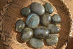 Polished  Flashy Labradorite Palm Stones  x 12 From Madagascar - Toprock Gemstones and Minerals 