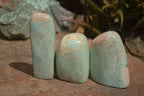 Polished Kobi Amazonite Free Forms  x 12 From Zimbabwe - TopRock